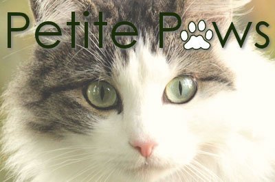 petite paws - search in france